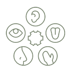 Terapia
integracji sensorycznej