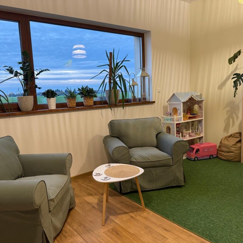 Terapis &ndash; Wspomaganie Rozwoju dziecka - TUS, Terapia SI Poznań